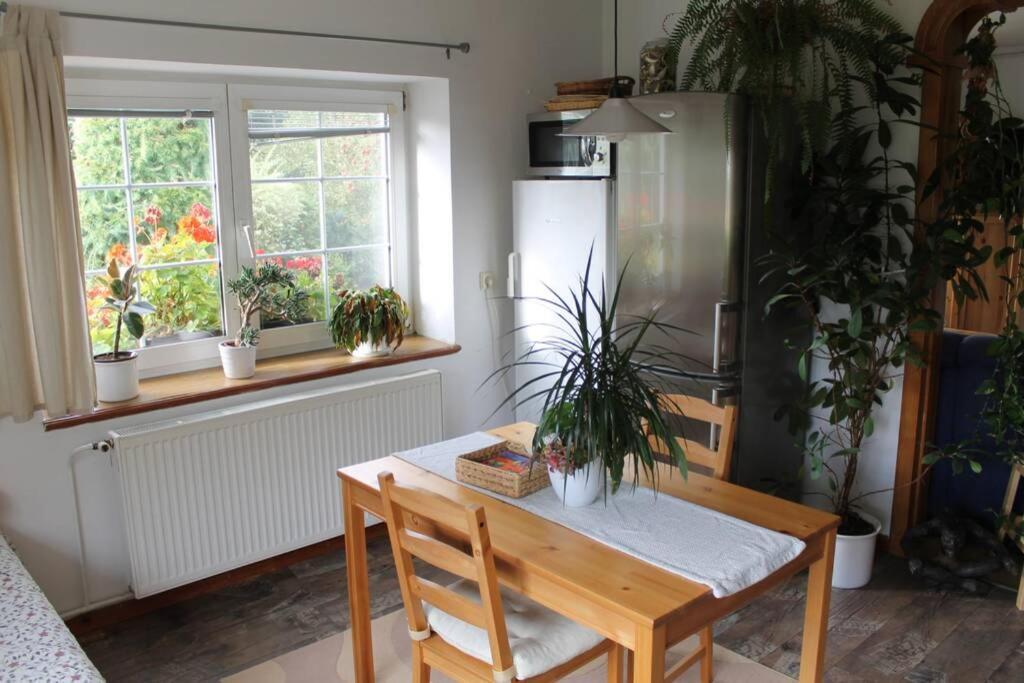 Krasny V Brane Luzickych Hor Apartment *