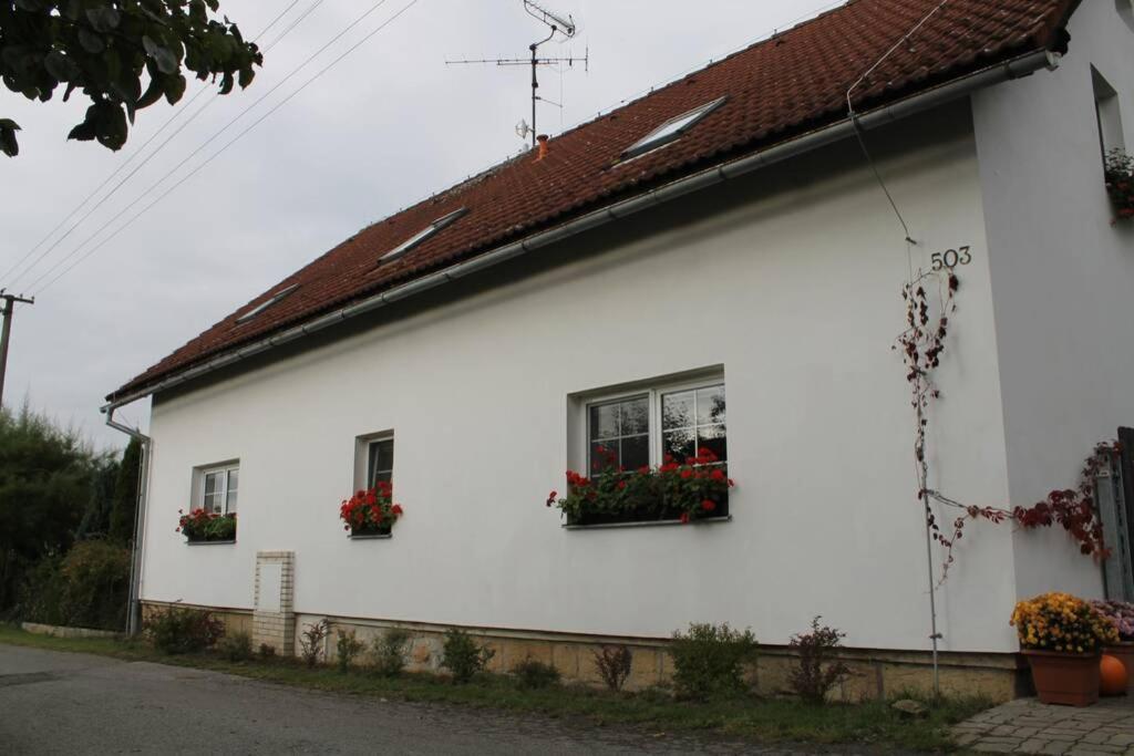 Apartment Krasny V Brane Luzickych Hor